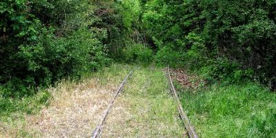 A disused and overgrown railway track.